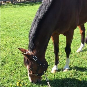 Meet your Posher, Lillian